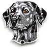 Customized 3D Embroidery Laser Cut Patches Dog Embroidery Patches
