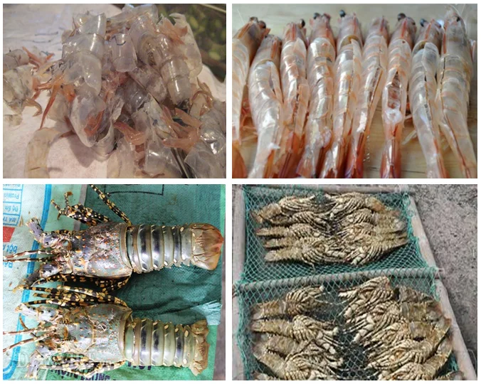 High Quality Dried Shrimp Shell/chitin/chitosan With Cheap Price From Vietnam/ Ms. Xavia +84 97