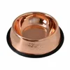 Ski Group Of Copper Dog Food Bowls