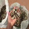 Rich in Nutrients Raw cashew nuts from Africa
