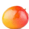 Organic Mangos Fruit For Export Grade