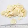 Quality Dehydrated Garlic Flakes