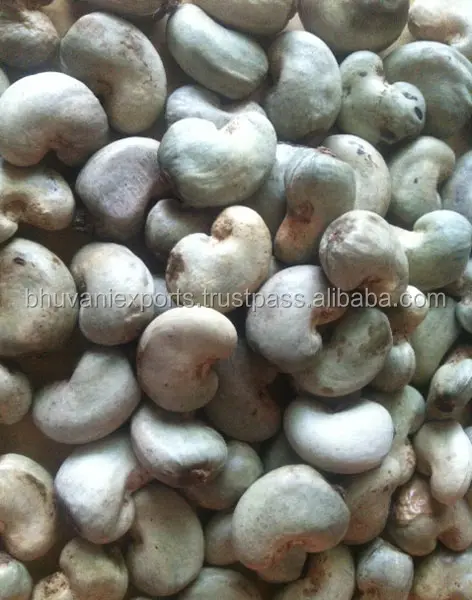 cashew raw nuts