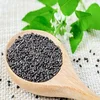 Basil Seed | Basil Seed for Juce & Oil