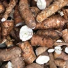Mini Small Scale Fresh Cassava Potato Chips Making Machine Price