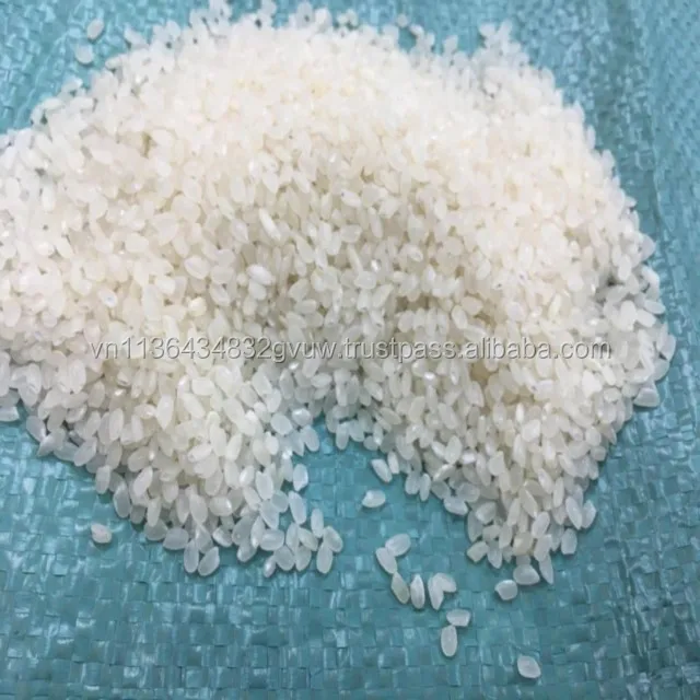 JAPONICA 2% BROKEN 89.jpg