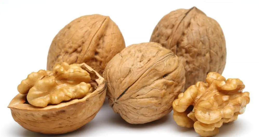 Walnut.jpg