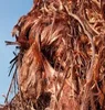 100% Grade A Copper Scrap, Copper Wire Scrap, Mill-berry Copper 99.9% Factory
