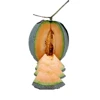 High Quality Crete No.1 Rock Japanese Seed Melon