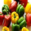 /product-detail/fresh-bell-pepper-color-capsicums-50038116125.html