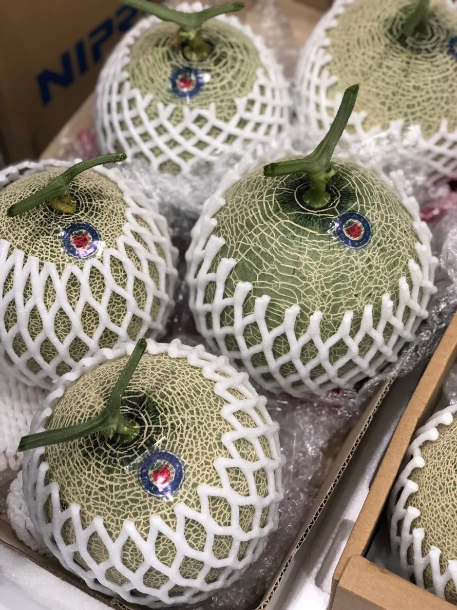melons for export organic green melon best price