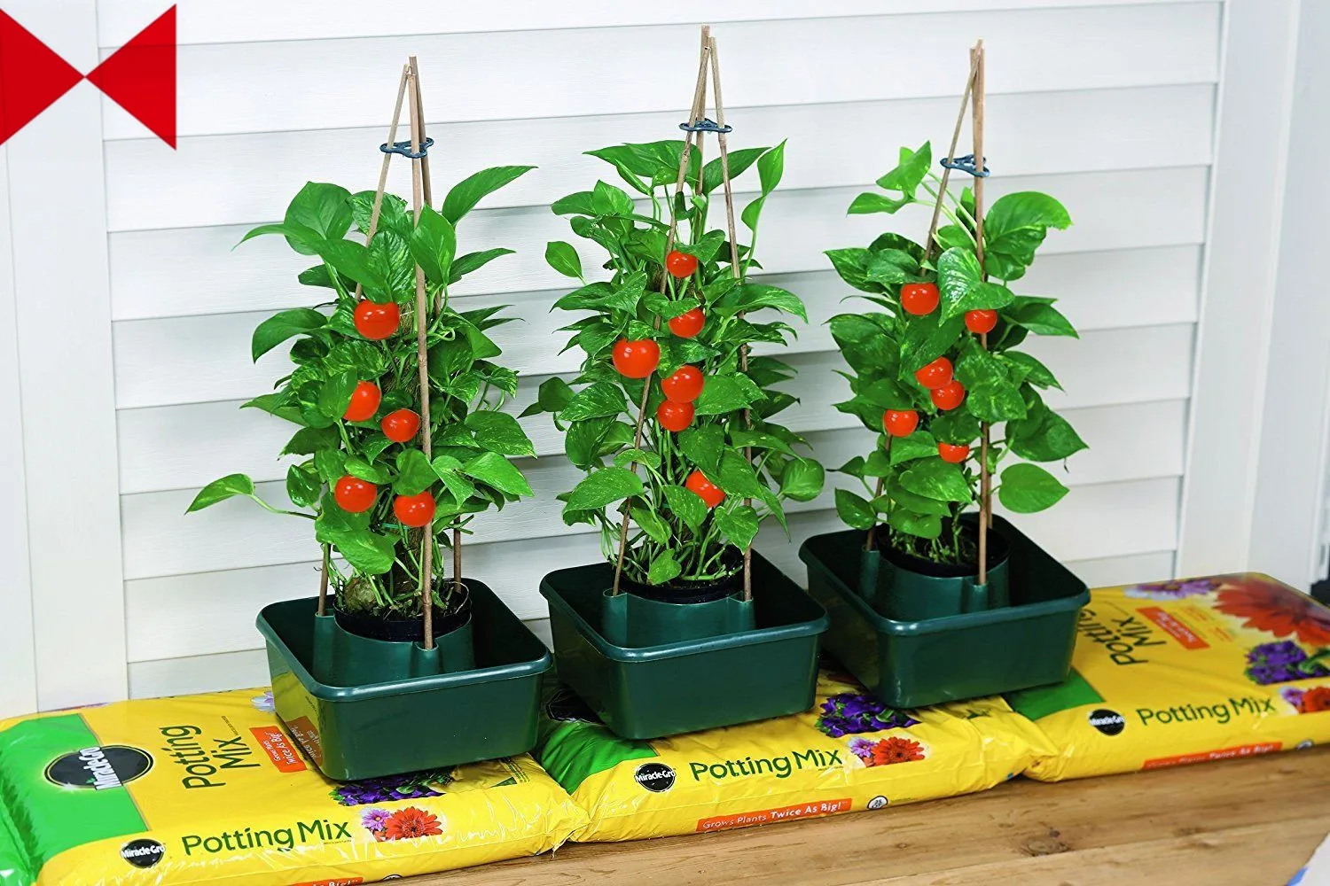 3-Set-Tomato-Grow-Pots-_57