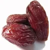 Bleached Dry Dates High Quality Healthy GMO-FREE Fruit Products