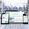 Expert developers to offer bespoke services | Best Bespoke Software Development Services by ProtoLabz