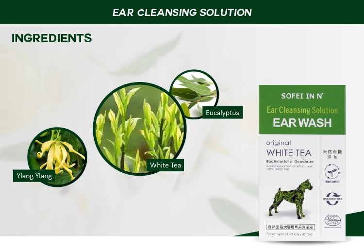 fresh dog dry shampoo powder