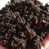 /product-detail/wholesale-vermicompost-fertilizer-earthworms-compost-organic-vermicompost-from-vietnam-50038335665.html