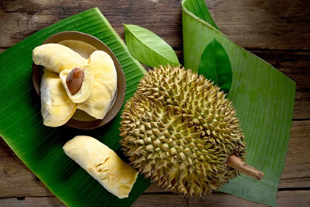 Thailand King Fruit Frozen Durian Whole (monthong) Buy Durian Frozen