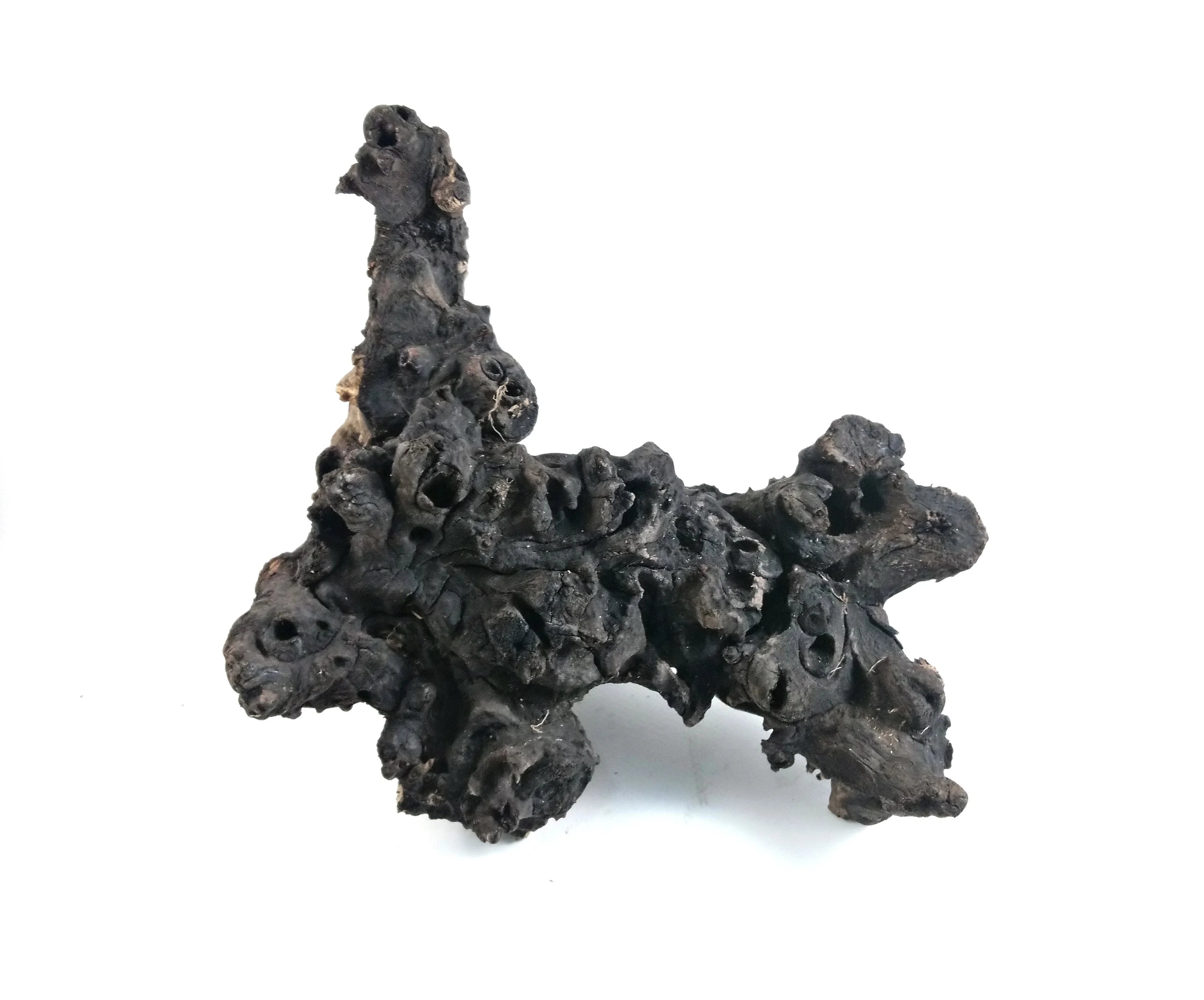 Wholesale Driftwood Buy Malaysian Driftwood,Driftwood Mangrove