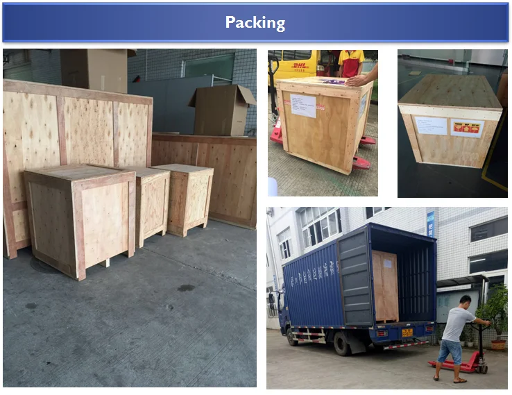 paste-pic-dp_uuid_4rtmb