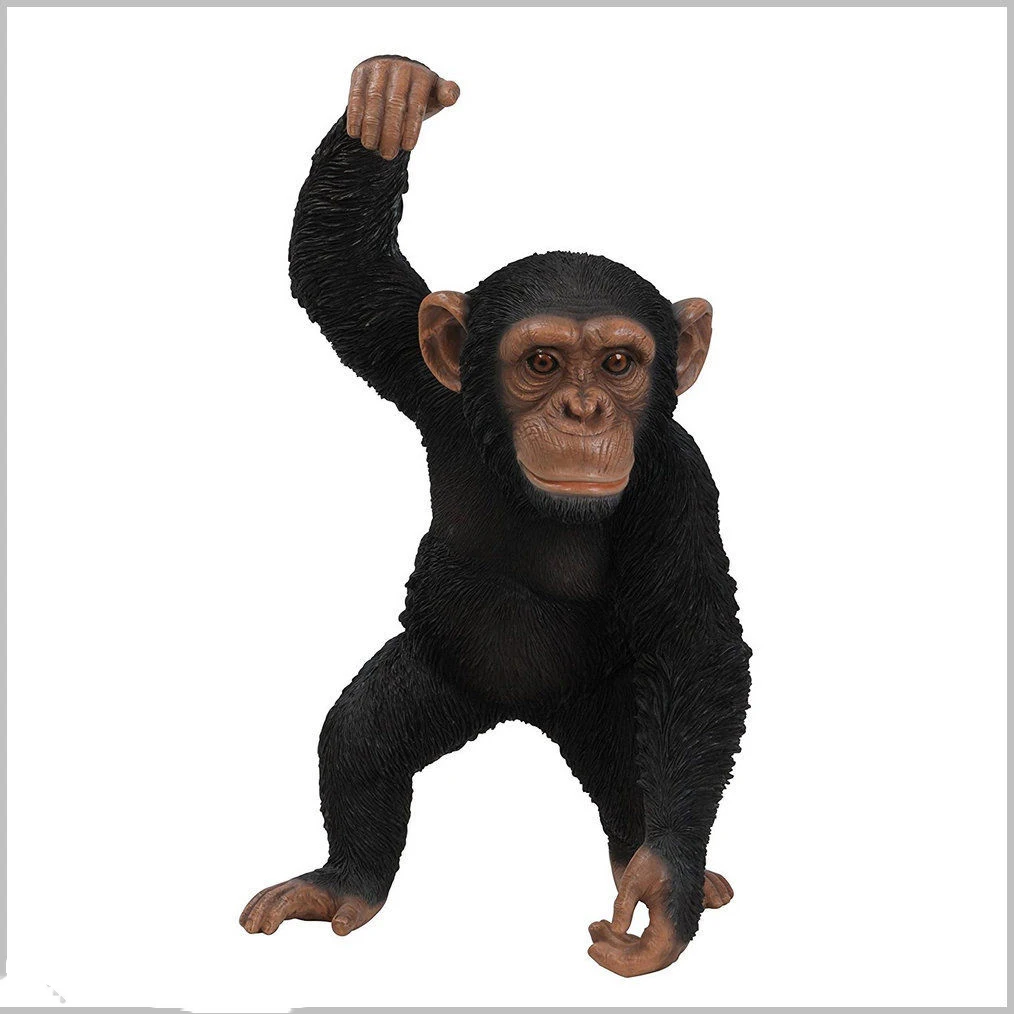monkey (3).jpg