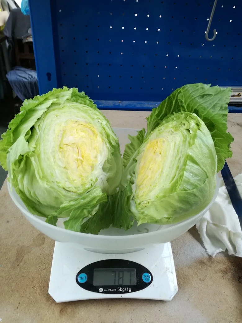 ICE6.jpg