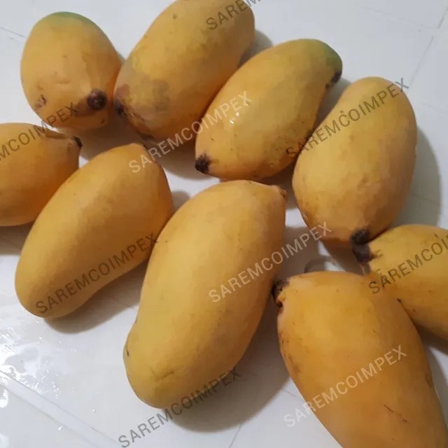 Premium Mangoes From Pakistan Delicious Taste Sindhri Mango For Sale