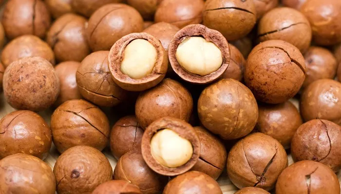 Макадамия Озон