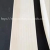 High Quality Custom Cricket Bats