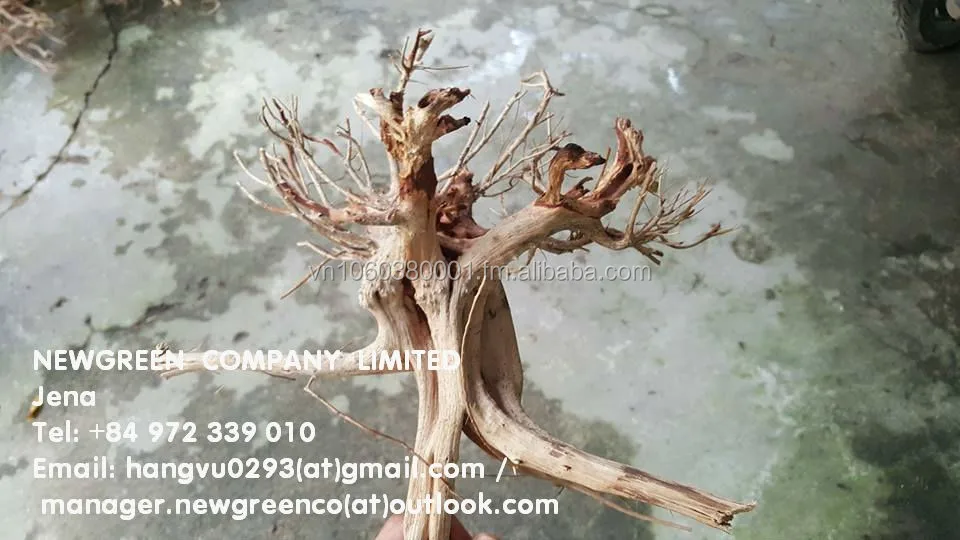 Red Moor Natural Wood Root Driftwood Bogwood For Fish Tank Aquarium