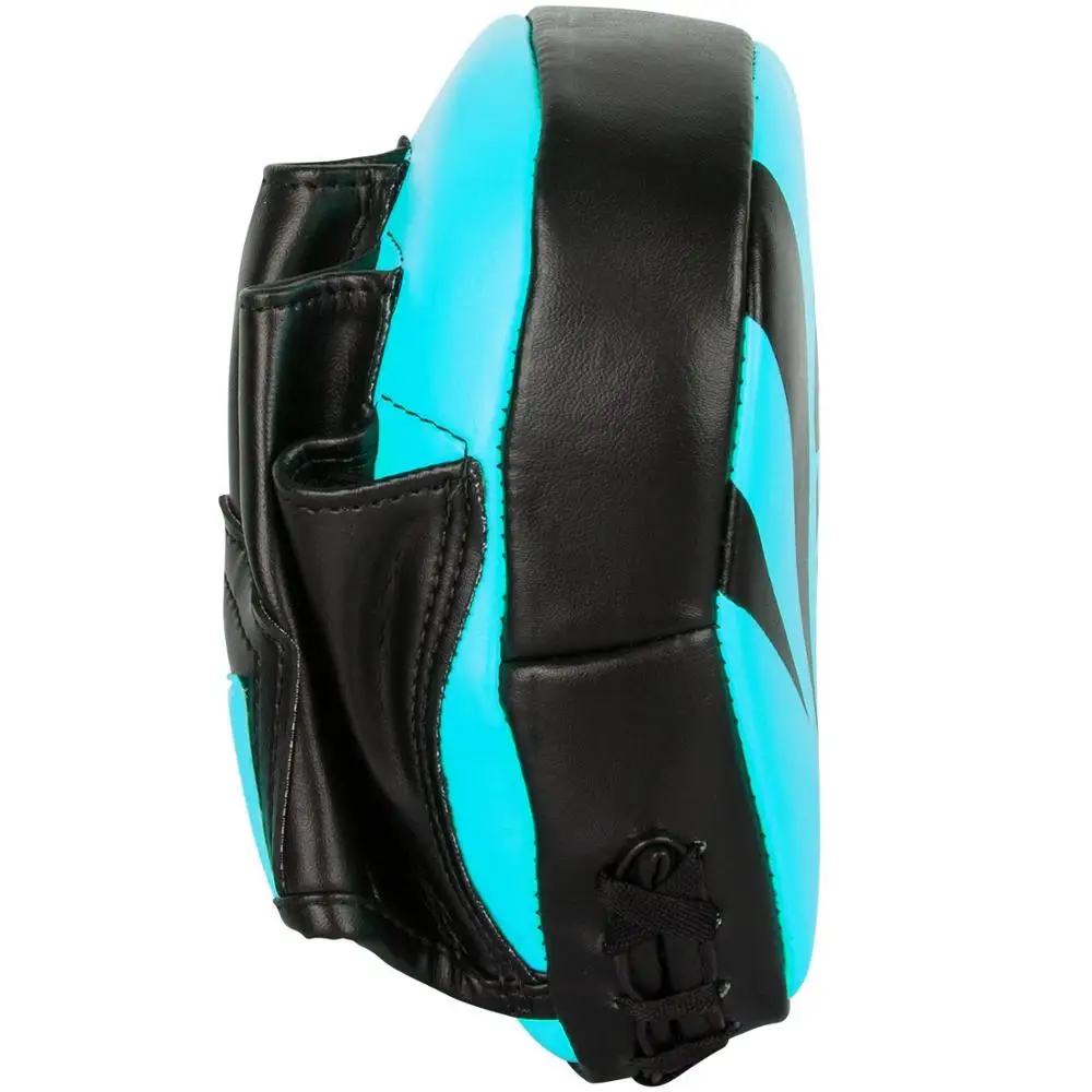 2018 Boxing Focus Pad / Focus Mitts / Focus Pads Buy Custom Focus