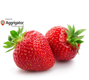 fresh berries, fresh fruit suppliers and manufacturers - alibaba