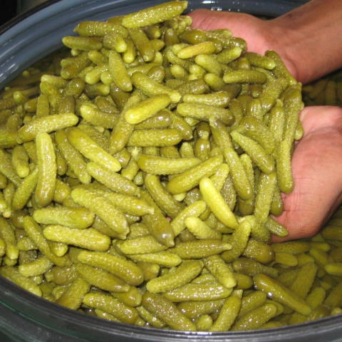 
Pickled cucumbers, gherkins, cornichons 