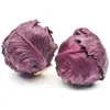 Fresh Red Cabbage