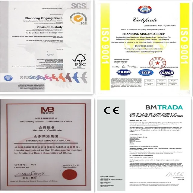 Certification.jpg