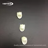 Front And Back Denture Resin Acrylic Teeth