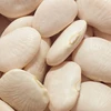 American Standard Country Products lima beans/butter beans/ white and green liima beans