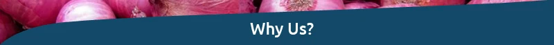 Onion-Why-Us.jpg