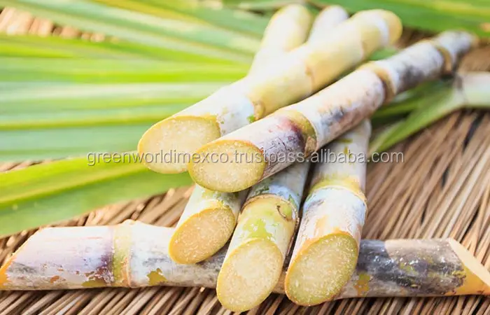 Sugarcane-A-Brief
