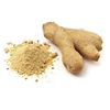 Ginger Powder Wholesale Supplier form India / Bulk supply Organic Dried Ginger Powder