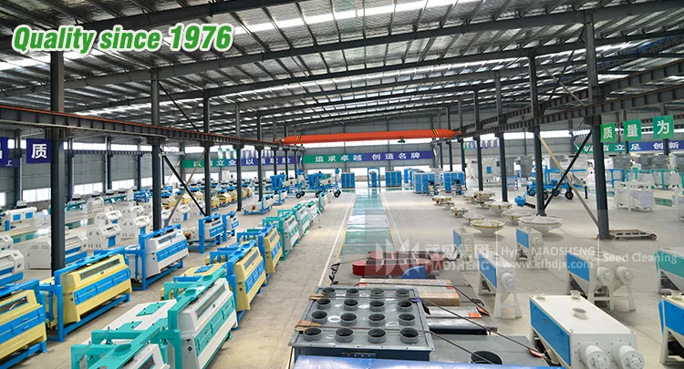 Large flax sunflower seed grading machine