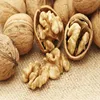 Almond , Cashew Nuts, Peanuts. Pistachio Nuts, Sun Flower Kernels, Walnuts