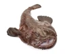Monkfish whole or tails