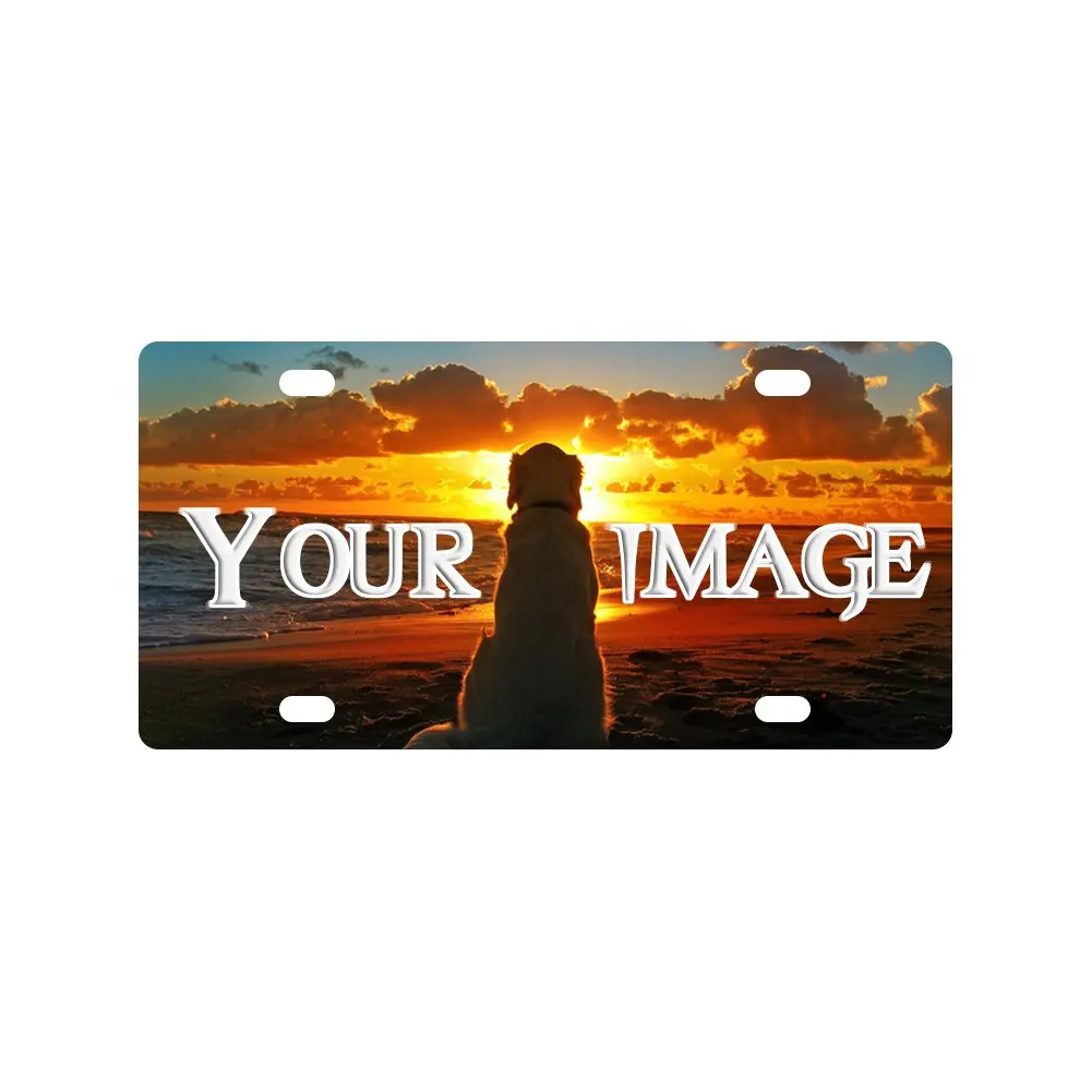 Custom Decorative Metal Sign Front Car Tag For Us Vehicles 12 X 6