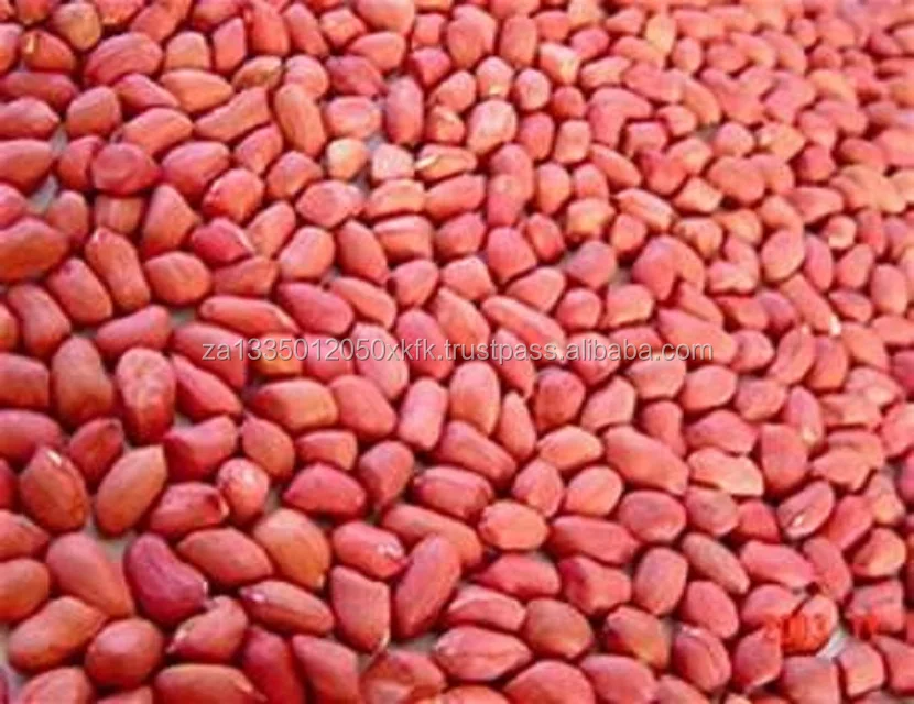 Best Grade Peanut For Sale / Peanuts/groundnut Buy Raw Peanuts For