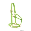Lime Green ESE Horse India Kanpur Halter