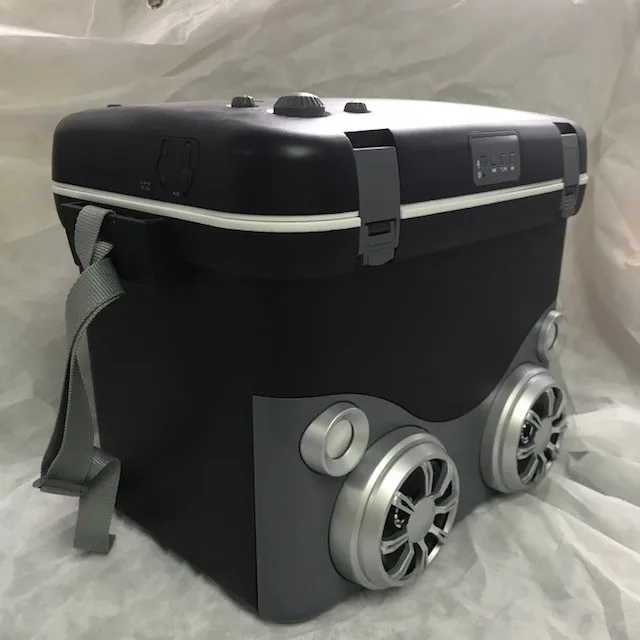 Beer Wine Can Food Music Cooler Box With Speaker For Outdoor Champing