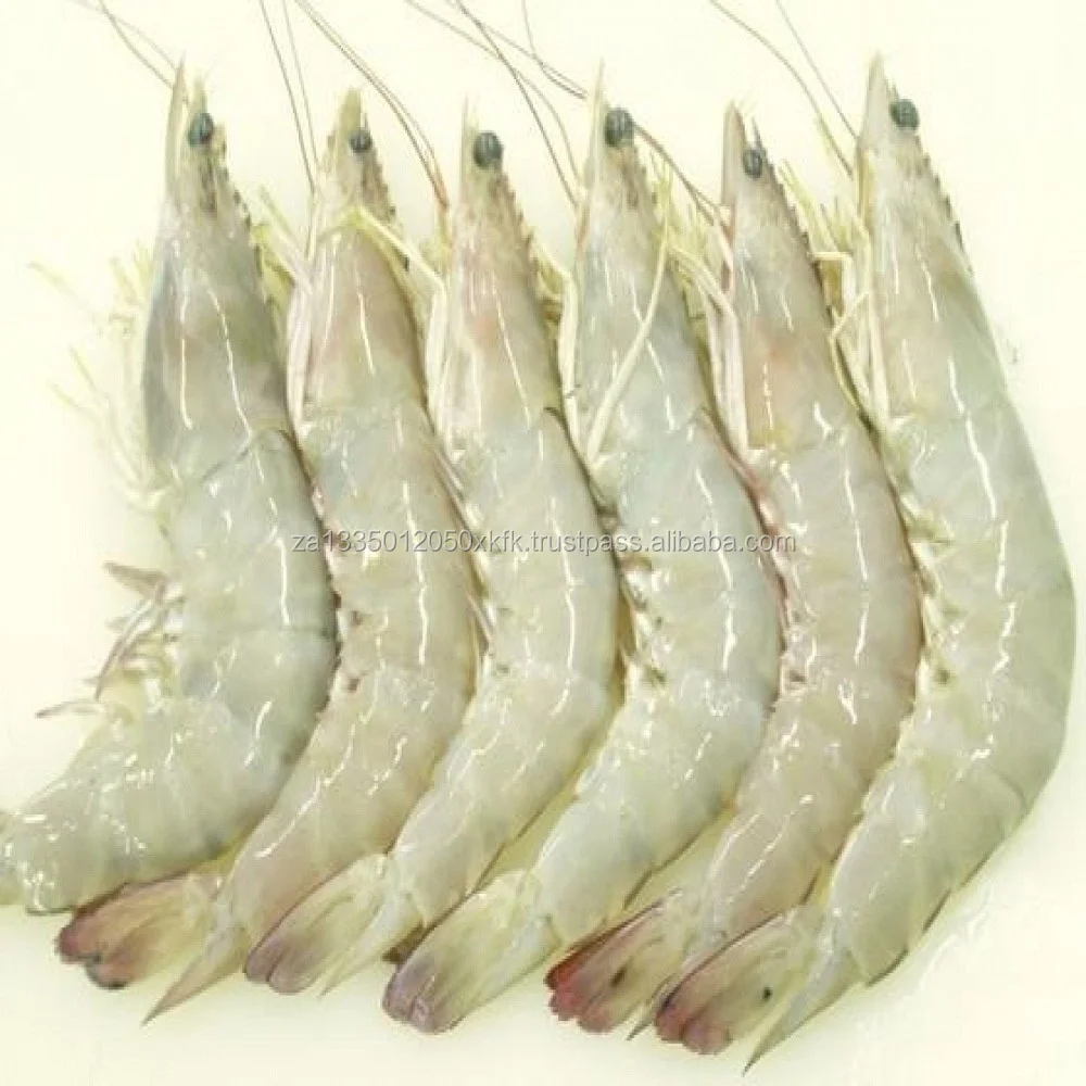 Белые креветки. Креветки vannamei. Креветки Frozen White Shrimp. Креветки l. vannamei. Королевские креветки белые.