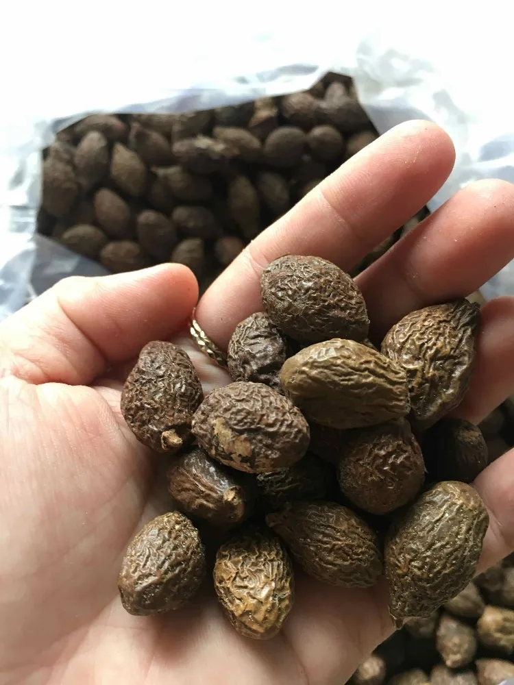 Viet Nam Dried Malva Nut/ Best Quality Malva Nut (ms Jenny) Buy Malva