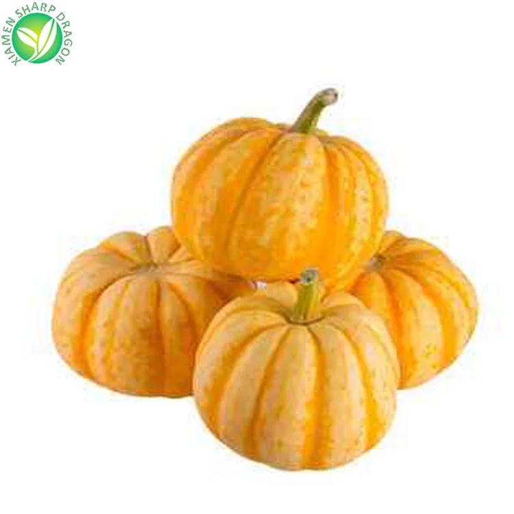 IQF frozen mini pumpkin round shape for foodservice buyers