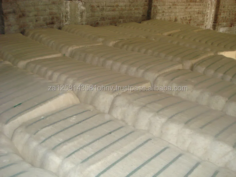 cotton 4.jpg